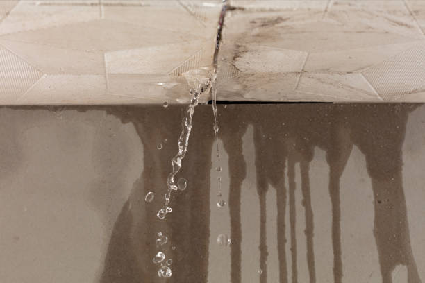 Professional Sewage Cleanup technician working in Bloomville, OH